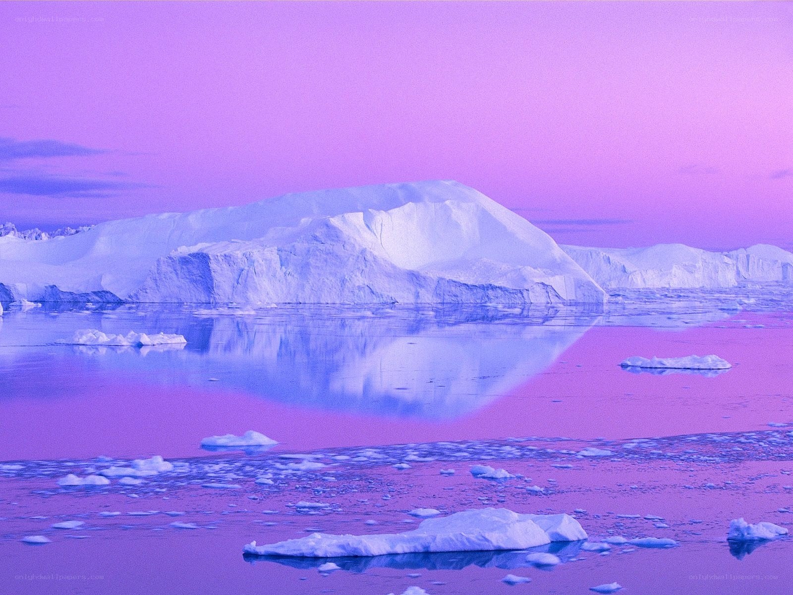 Purple-hued iceberg landscape