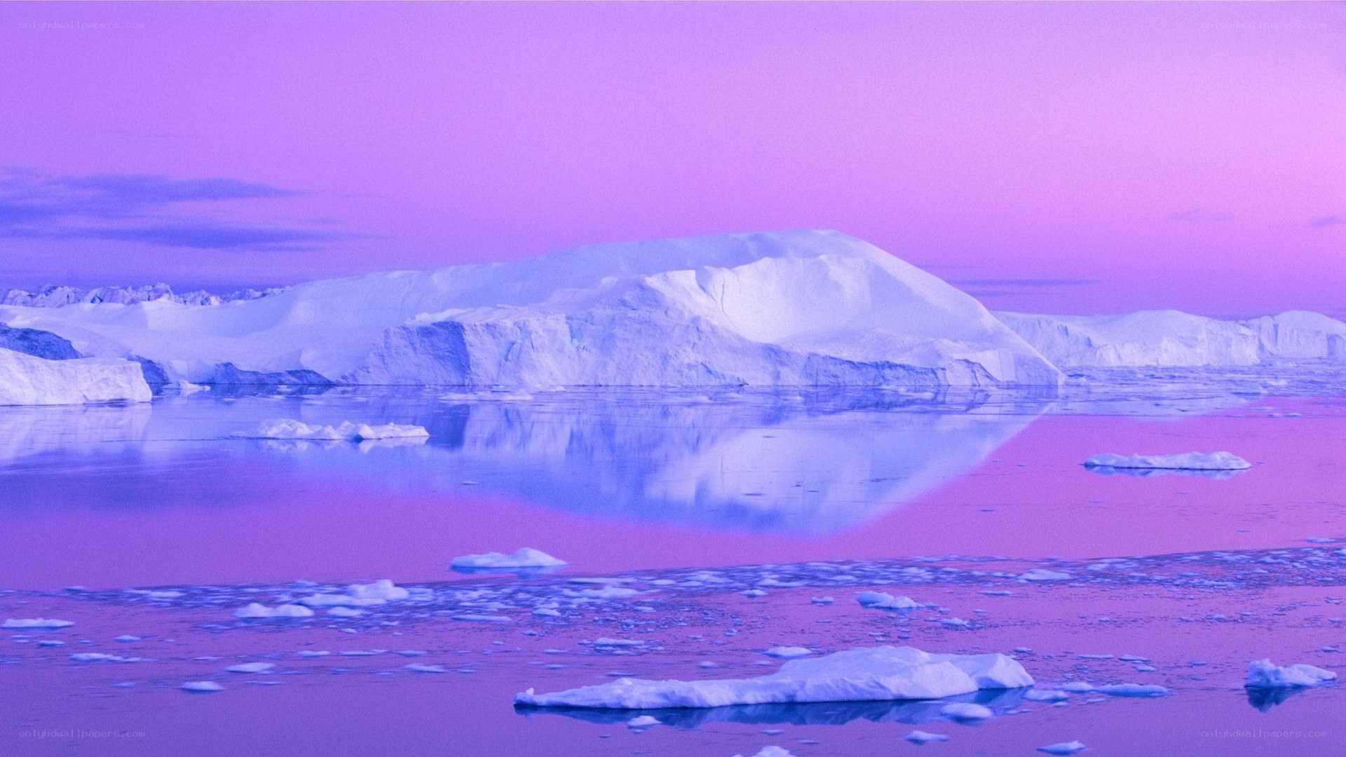 Purple-hued icebergs at dusk
