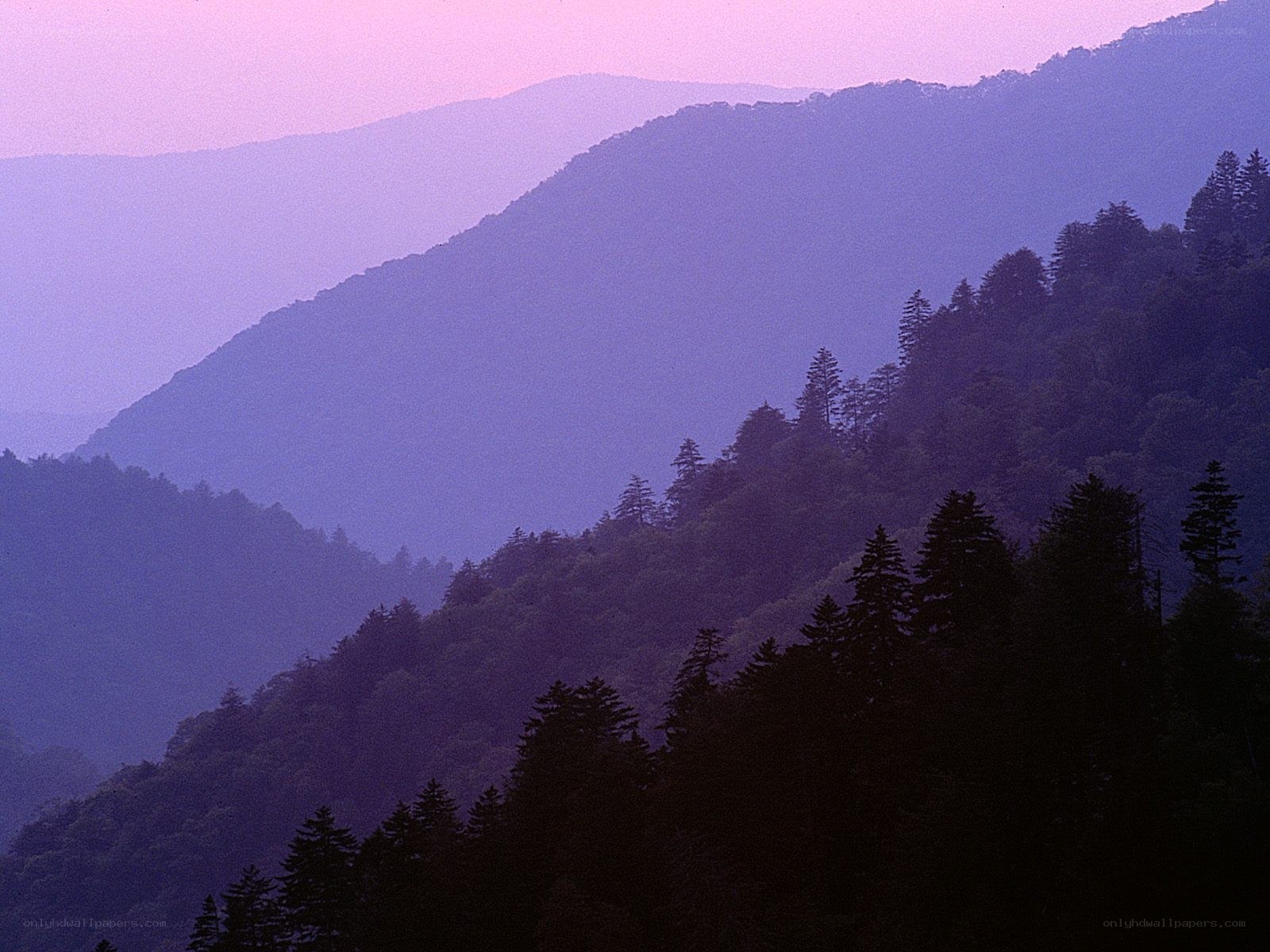 purple-hued mountain landscape