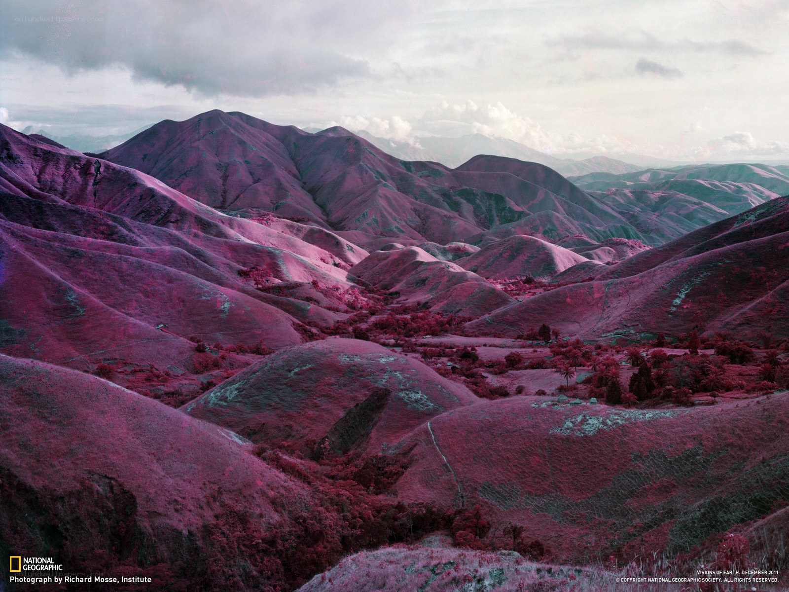 Purple-hued mountain landscape