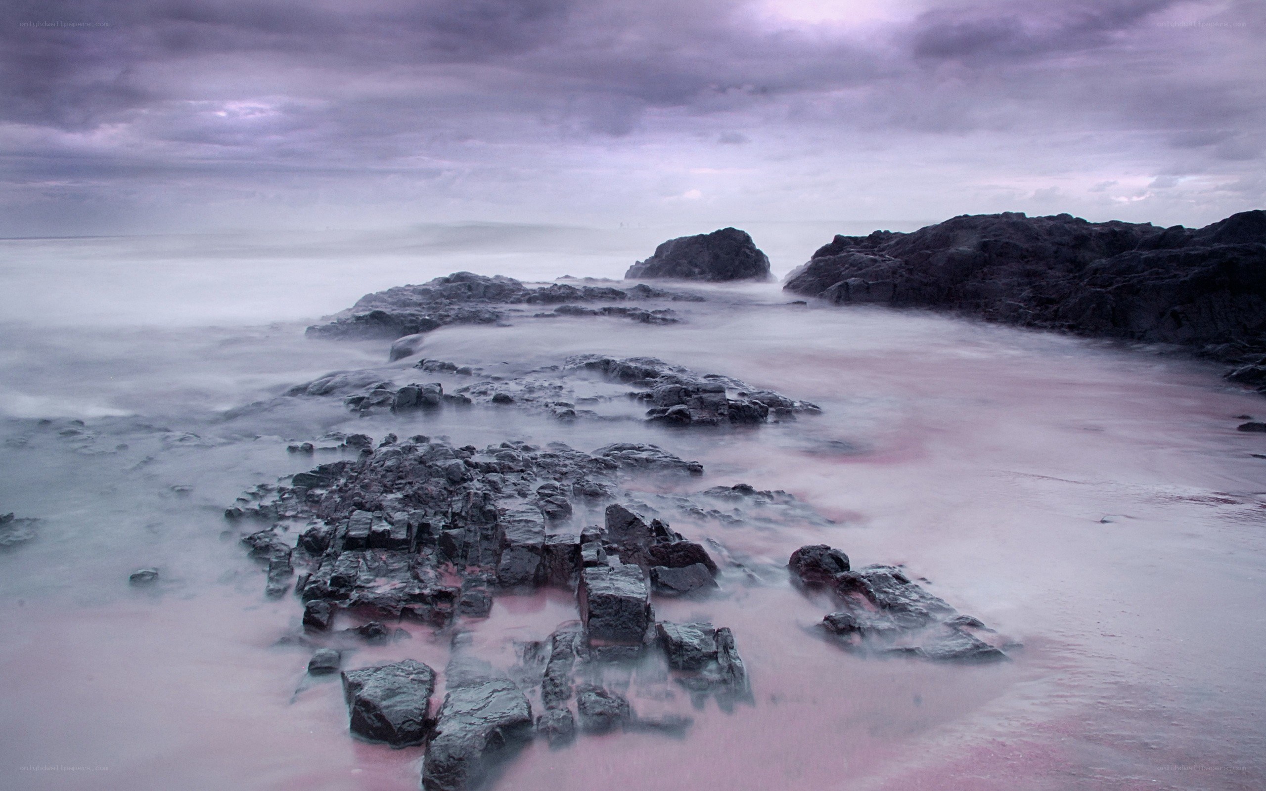 Purple-hued rocky shoreline