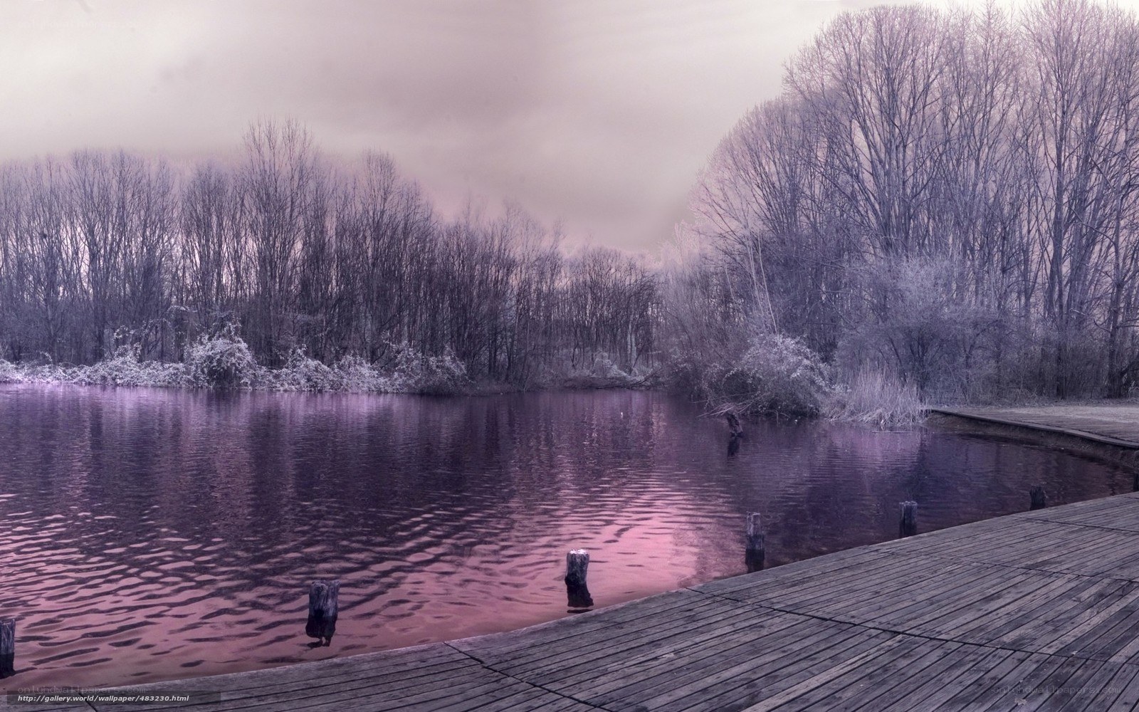 Purple-hued winter lake scene