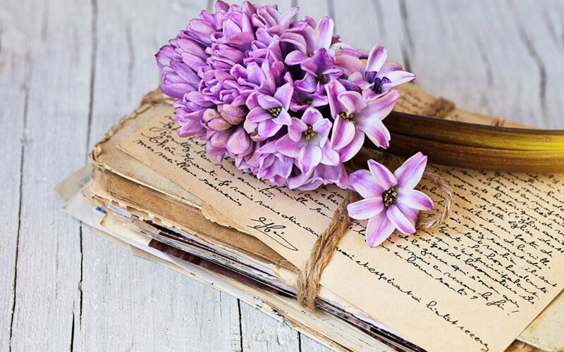 Purple Hyacinth Flowers — Serene, Photograph, Book, Letters