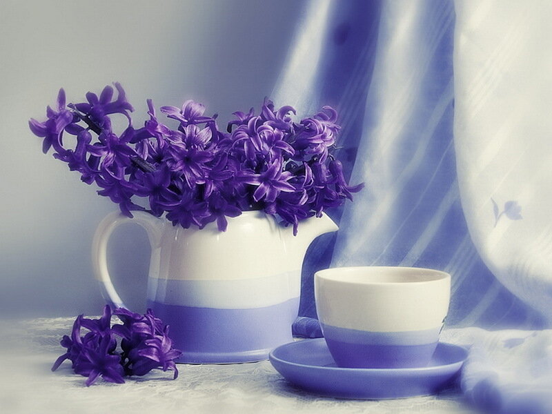 Purple Hyacinths in Pitcher
