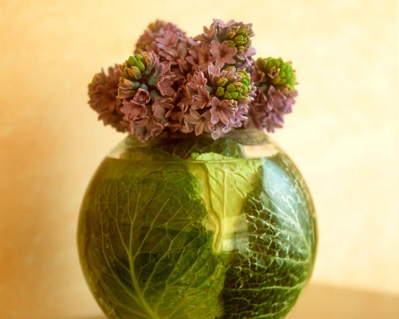 Purple Hyacinths in Vase