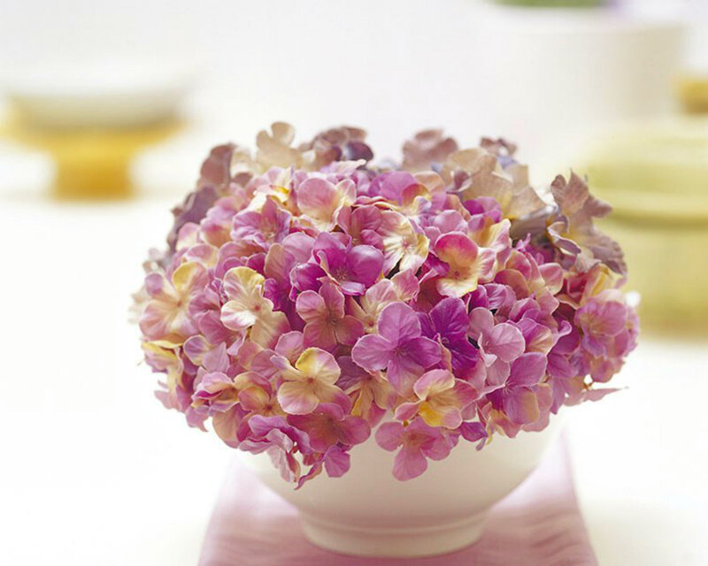 Purple Hydrangea Bouquet — Calm, Photograph