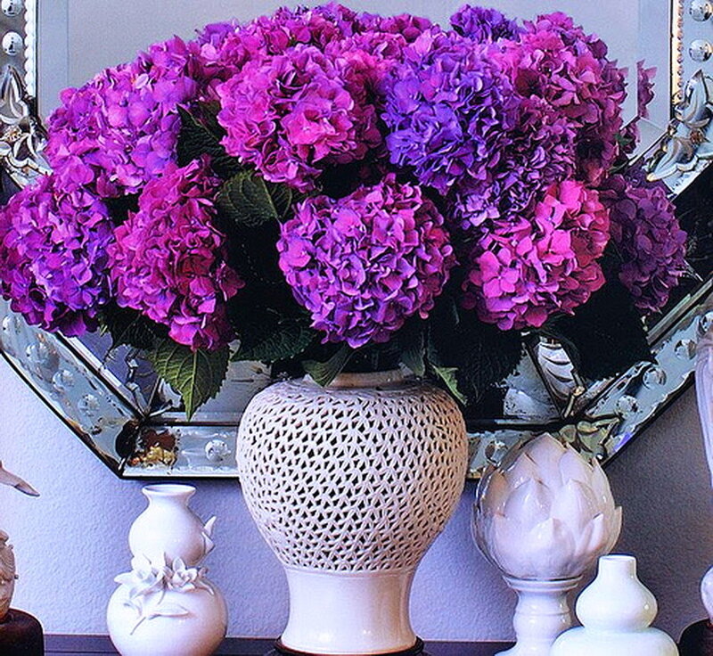 Purple Hydrangea Bouquet — Calm