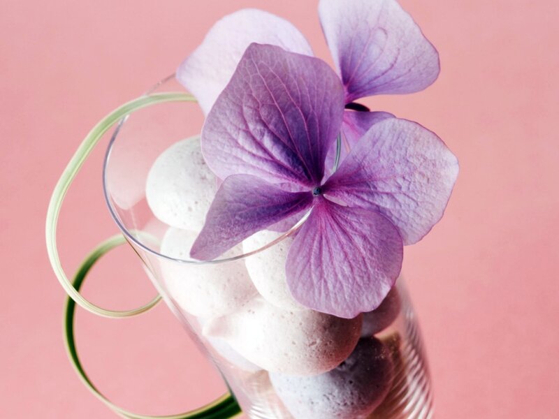 Purple Hydrangea Flower — Calm, Photograph, Glass