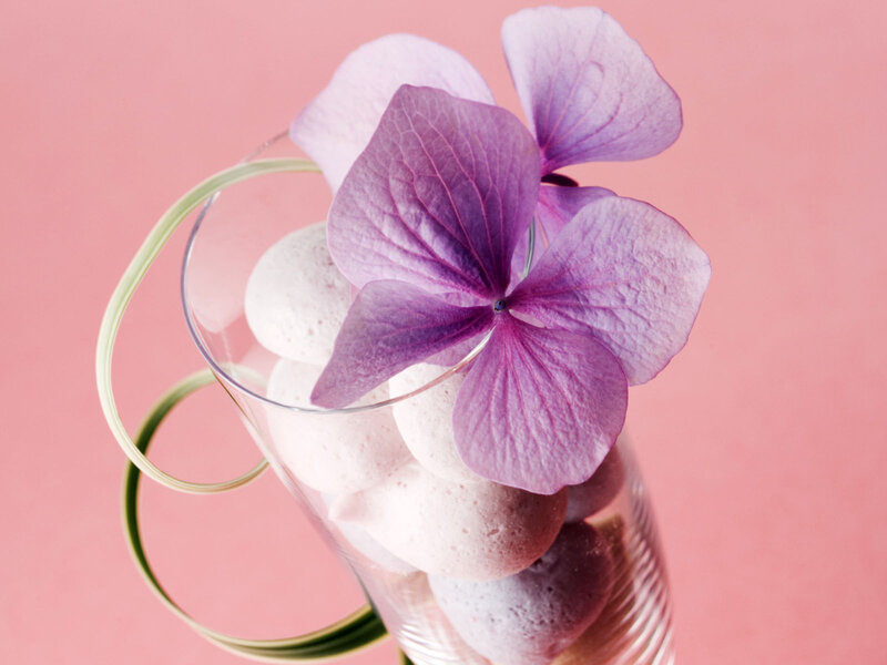 Purple Hydrangea Flower — Pink, Serene