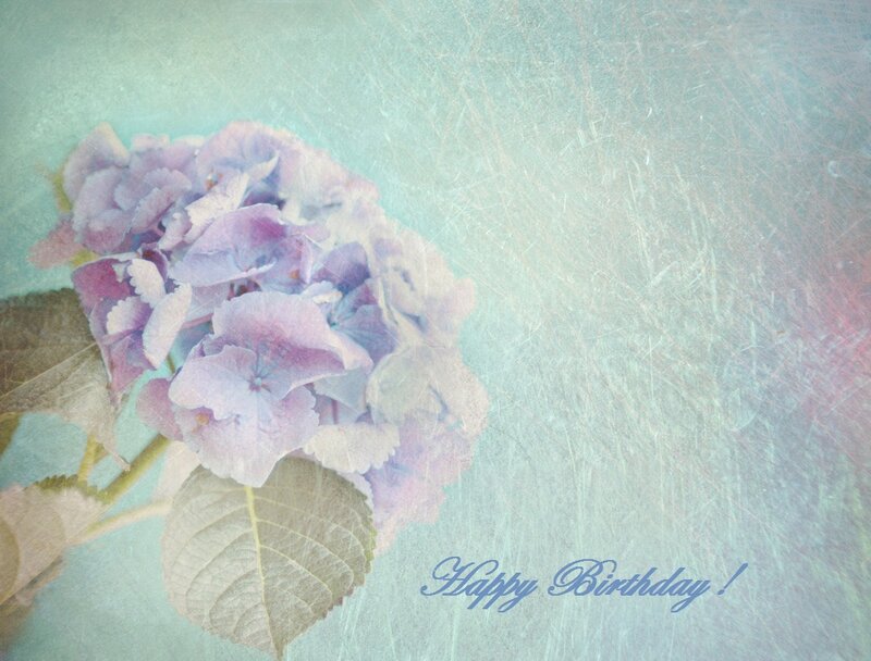 Purple Hydrangea Flower — Serene, Photograph, Leaf