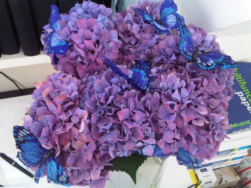 Purple Hydrangea Flowers — Calm, Photograph, Blue Butterflies