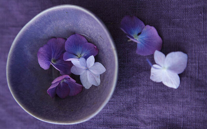 Purple Hydrangea Flowers — Serene, Photograph, Bowl