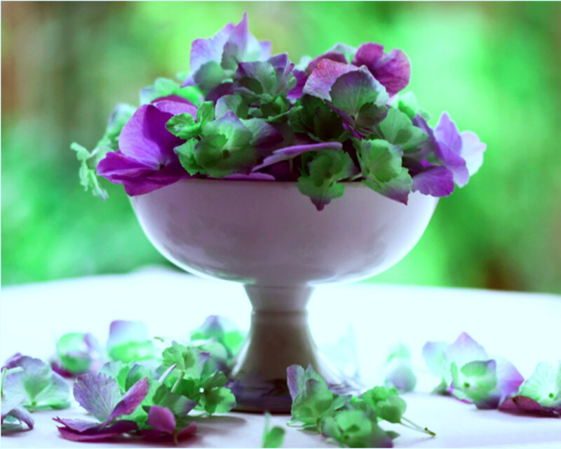 Purple Hydrangeas in Bowl