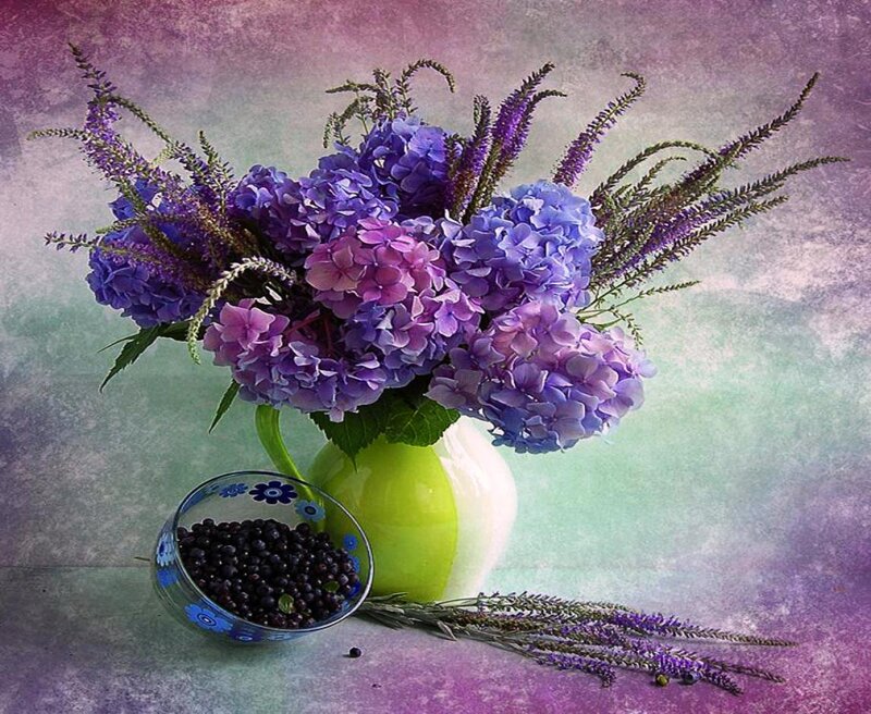 Purple Hydrangeas in Vase