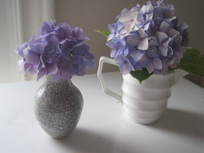 Purple Hydrangeas in Vases