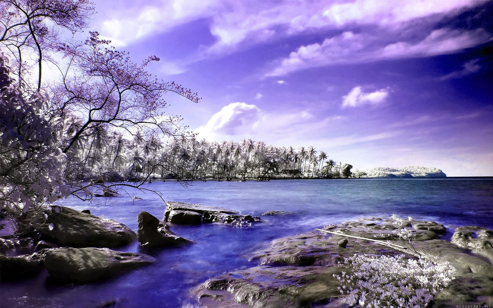 Purple Infrared Beach Scene