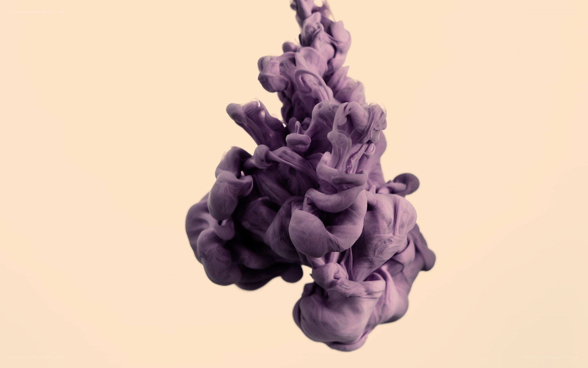 purple ink cloud in water