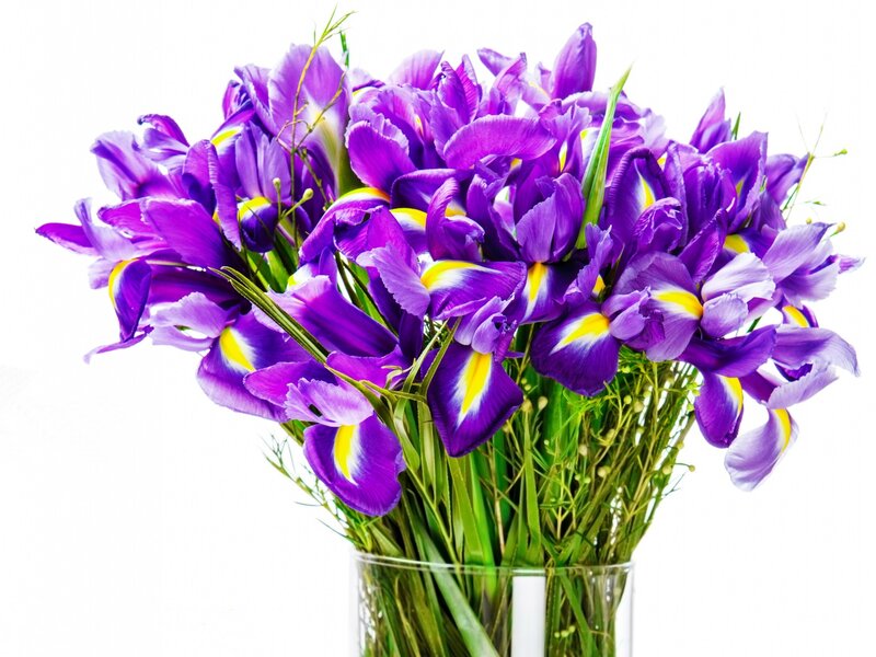 Purple Iris Bouquet