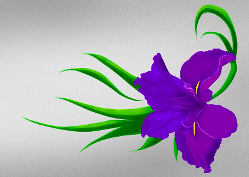 Purple Iris Flower — Calm, Digital Art
