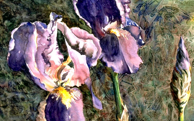Purple Iris Flowers — Calm, Painting