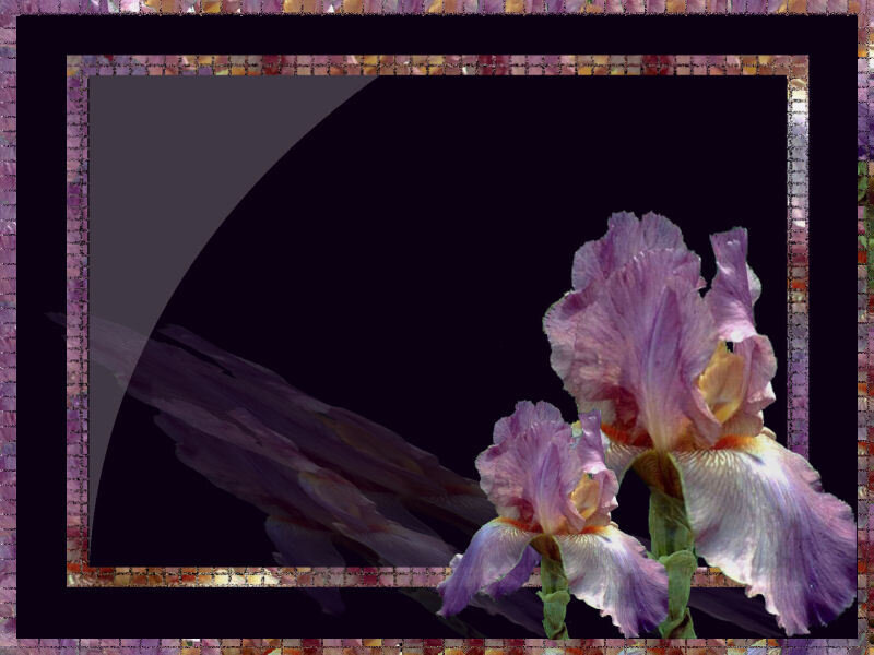 Purple iris flowers in mosaic frame