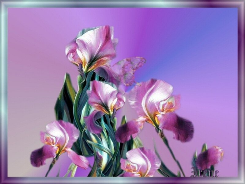 Purple Iris Flowers — Serene, Digital Art