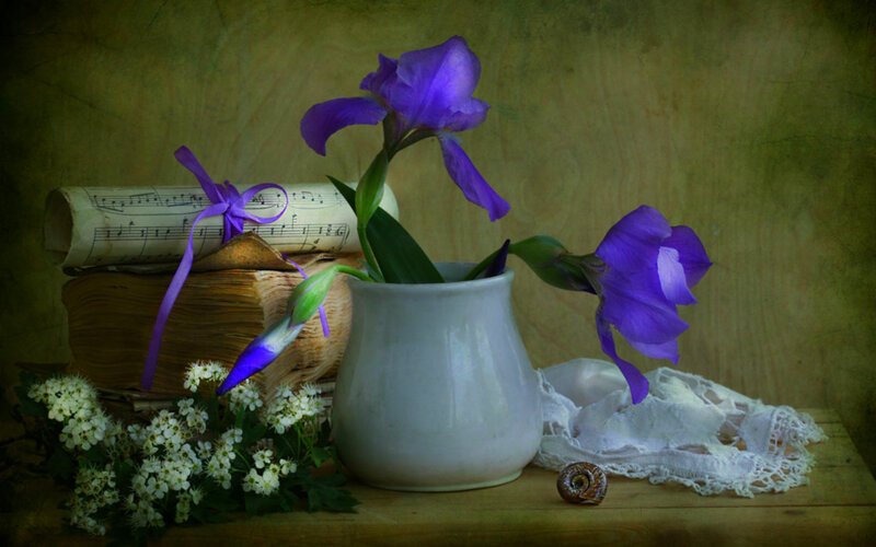 Purple Iris Flowers — Serene, Photograph, Sheet Music