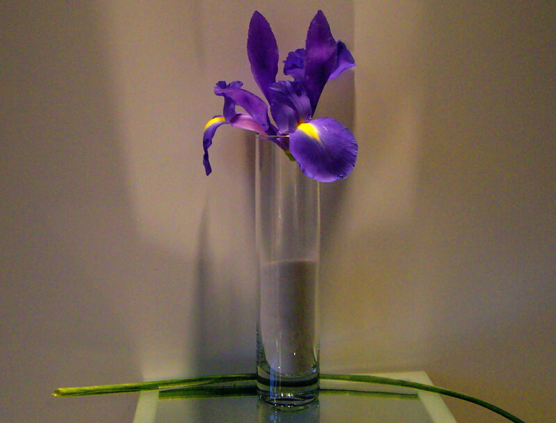 Purple Iris in Vase