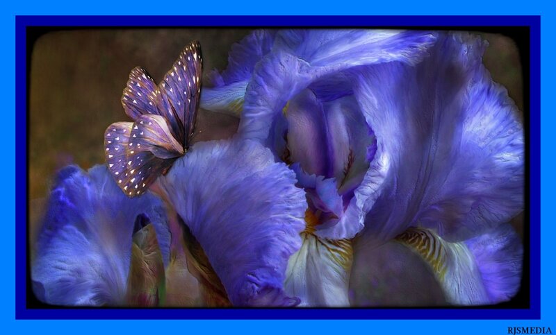 Purple Iris with Butterfly — Serene, Digital Art
