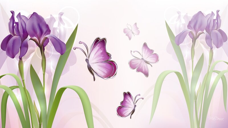 Purple Irises and Butterflies
