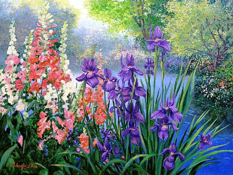 Purple Irises and Foxgloves