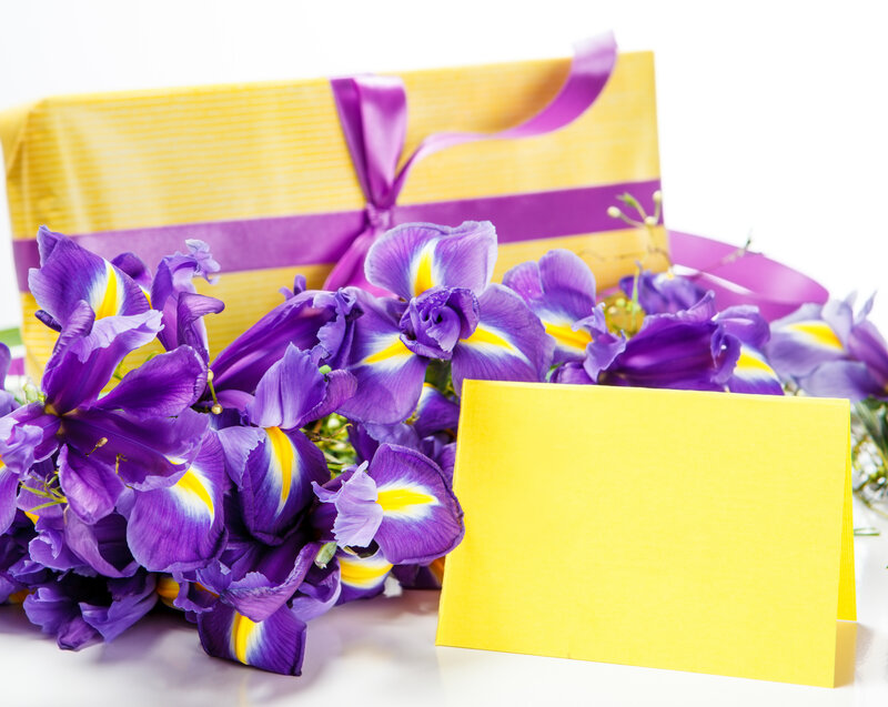 Purple Irises and Gift