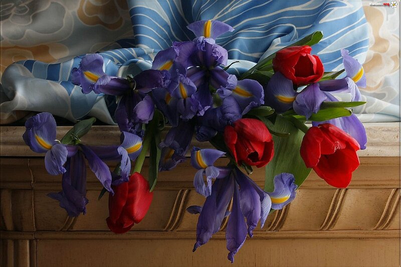 Purple Irises and Red Tulips — Calm