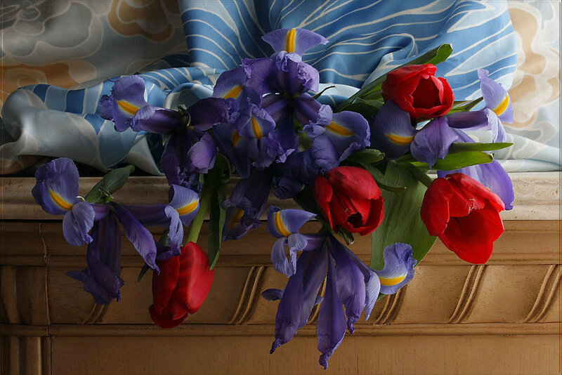 Purple Irises and Red Tulips