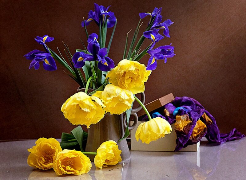 Purple Irises and Yellow Tulips