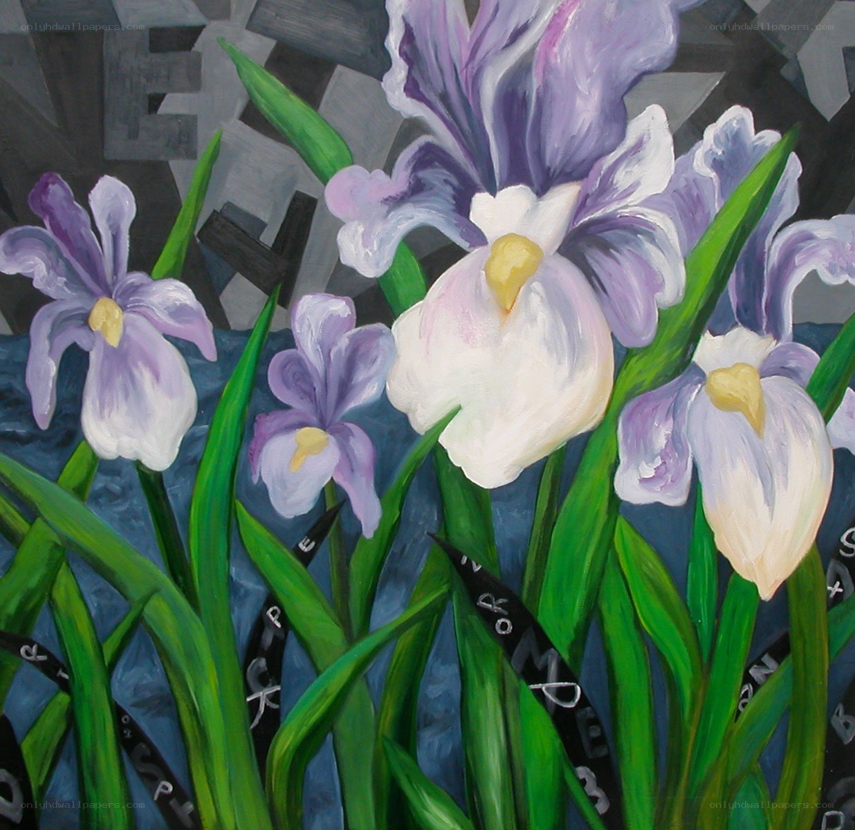 Purple irises in a garden