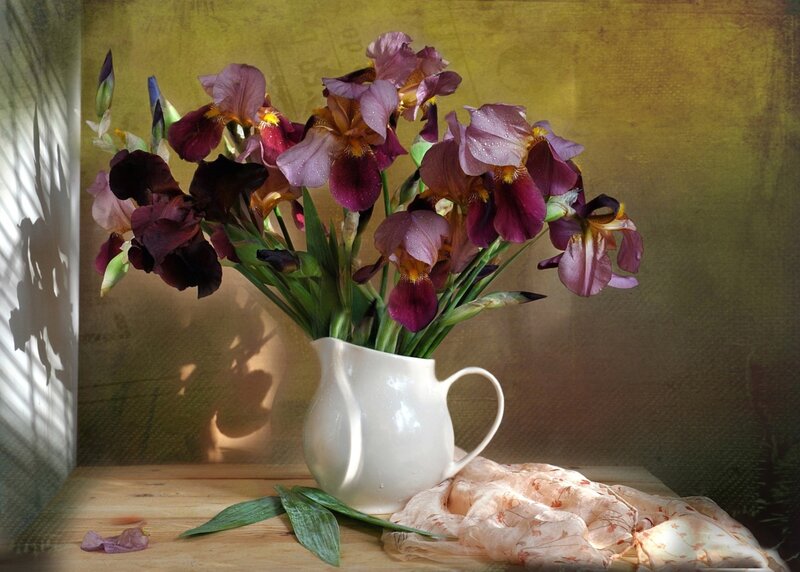 Purple Irises in a Pitcher — Serene
