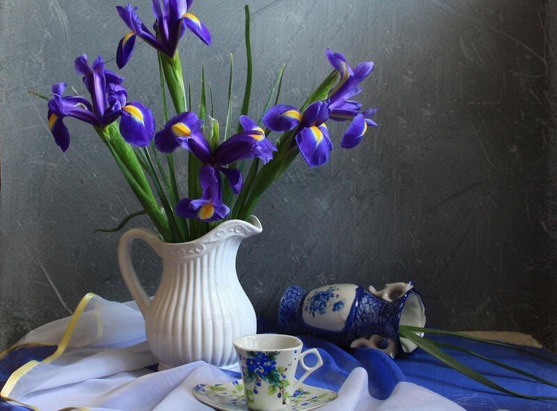 Purple irises in a white pitcher