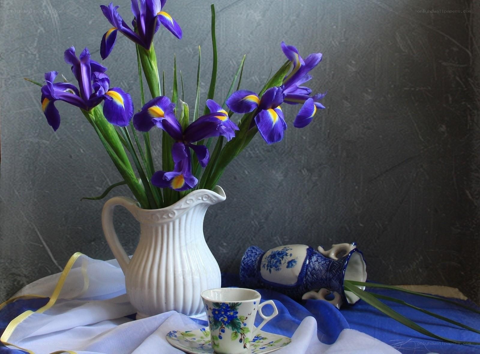 Purple irises in a white pitcher