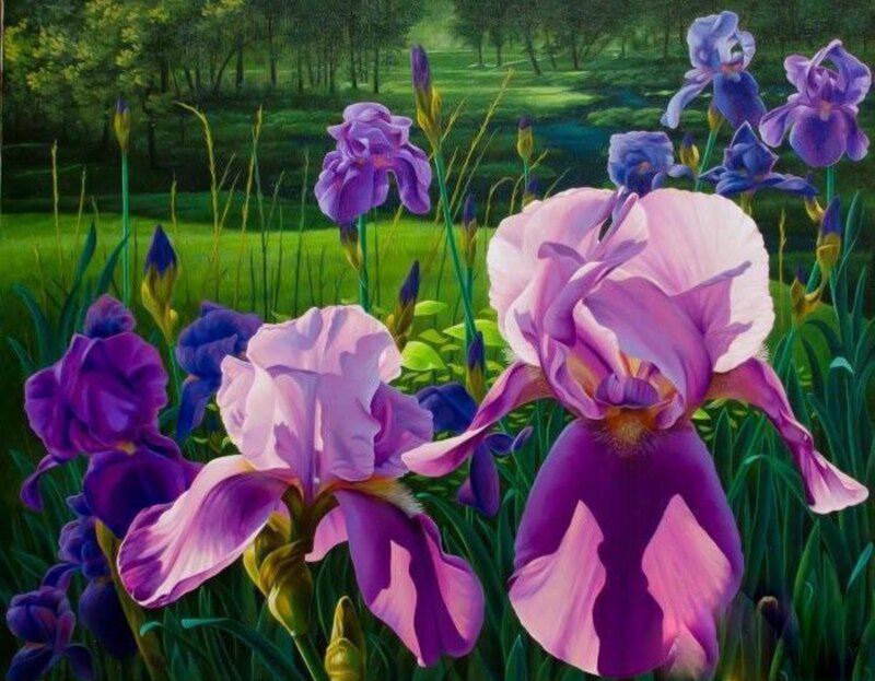 Purple Irises in Field — Serene, Afternoon