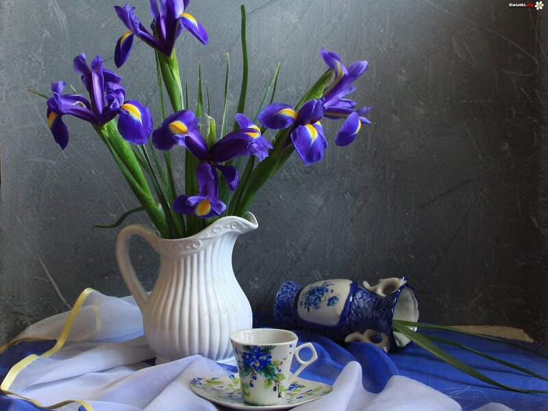 Purple Irises in Pitcher — Blue