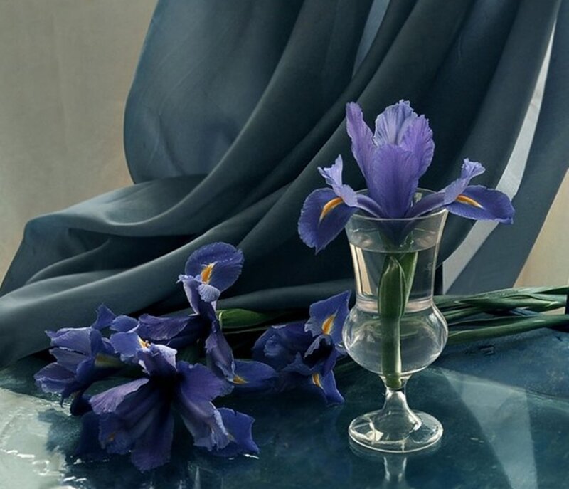 Purple Irises in Vase — Blue
