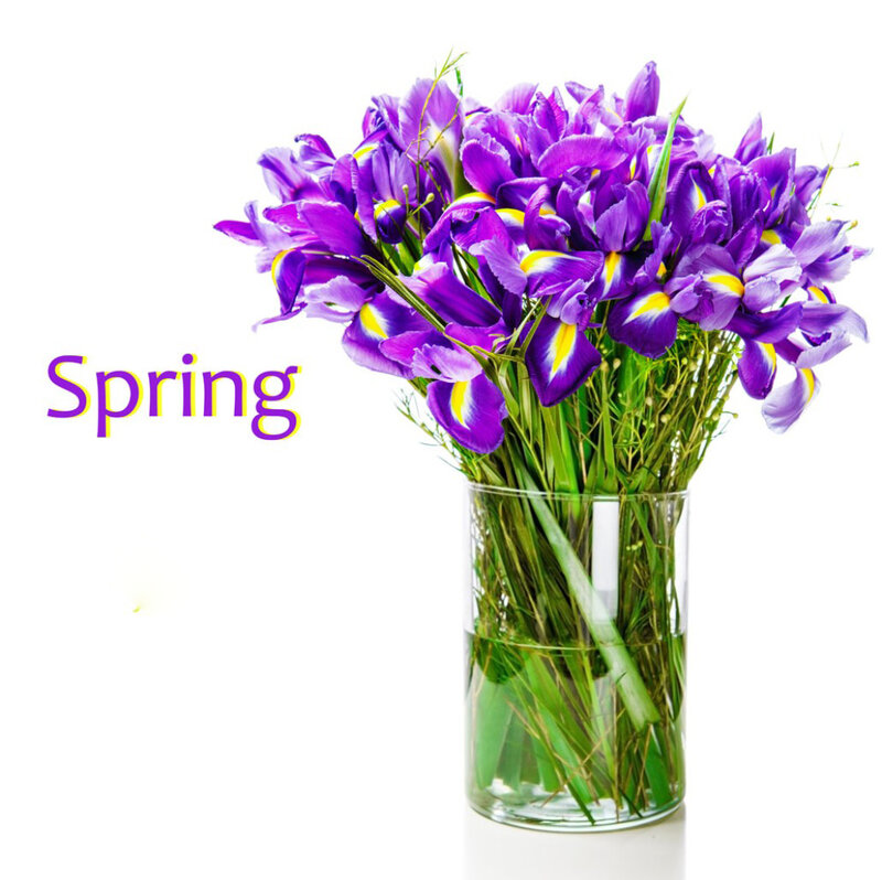 Purple Irises in Vase — Calm, Spring