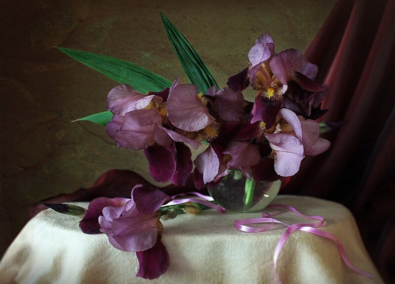 Purple Irises in Vase — Calm