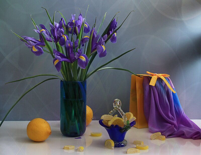 Purple Irises in Vase — Serene, Photograph