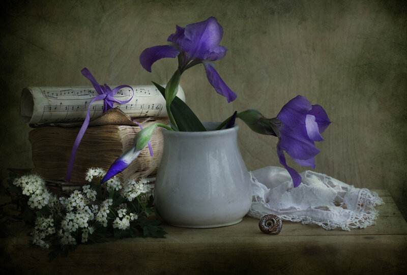 Purple Irises in Vase — Serene