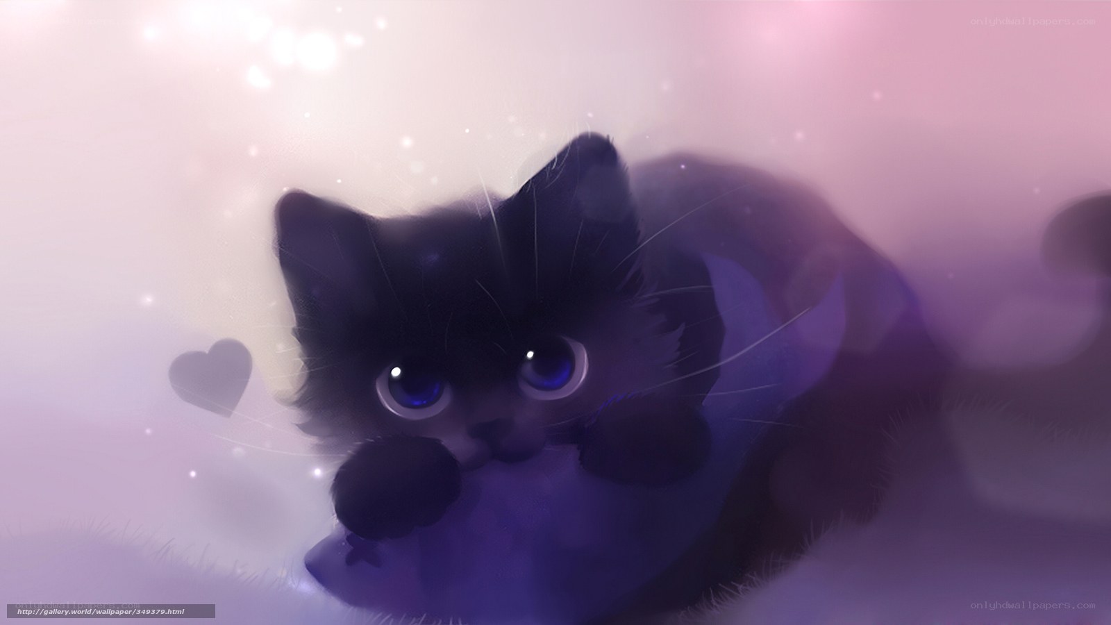 purple kitten with blue eyes