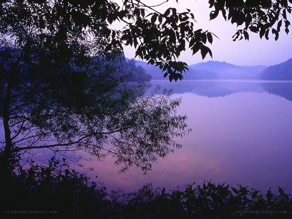 Purple lake at dawn
