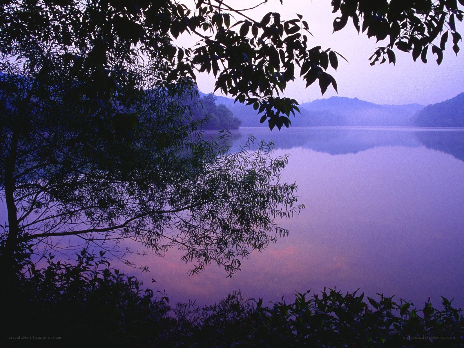 Purple lake at dawn