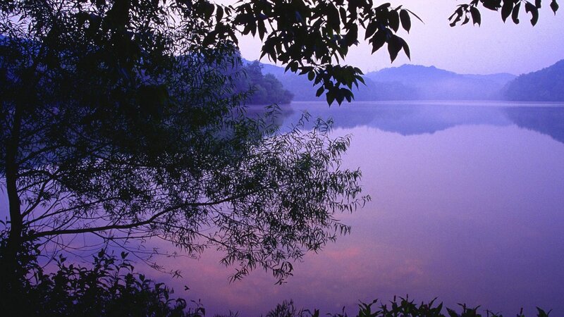 Purple lake at dawn